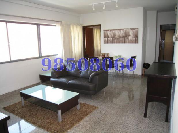 Canne Lodge (D14), Apartment #62554672